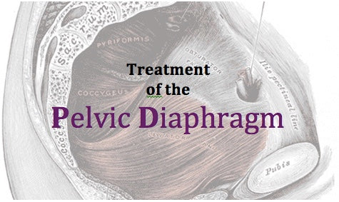 4.3. Treatment of the Pelvic Diaphragm