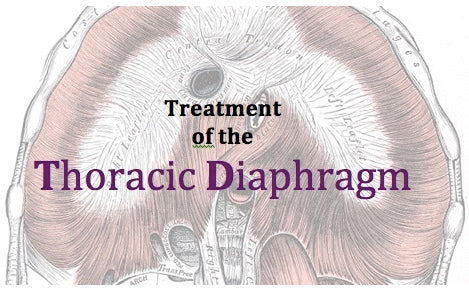 4.1. Treatment of the Thoracic Diaphragm