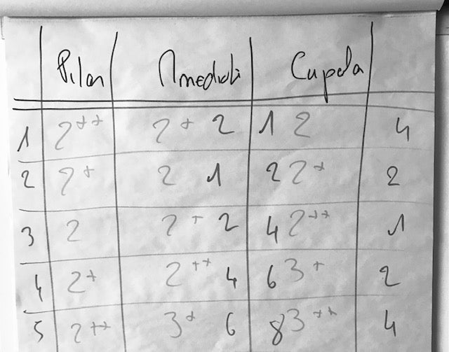 2.5. Quantitative and qualitative periodization & Cinesiology